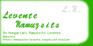 levente mamuzsits business card